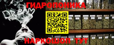 jwh Гатчина