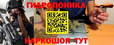 jwh Гатчина
