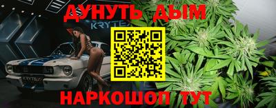 jwh Гатчина