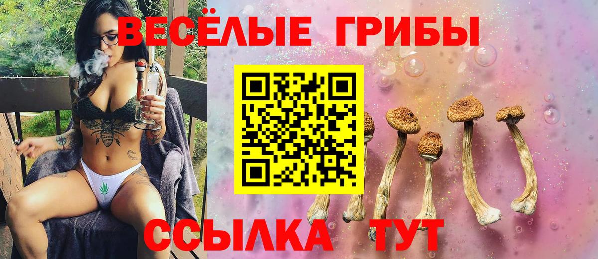 Галлюциногенные грибы ЛСД Озёры